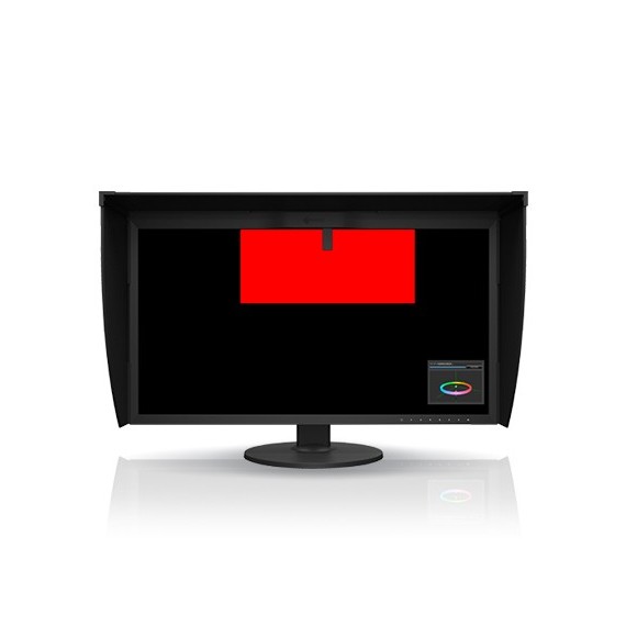 EIZO Monitor ColorEdge CG319X 31.1" Svart