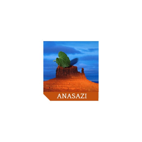 Moab Anasazi Canvas Matte 350 24"x15