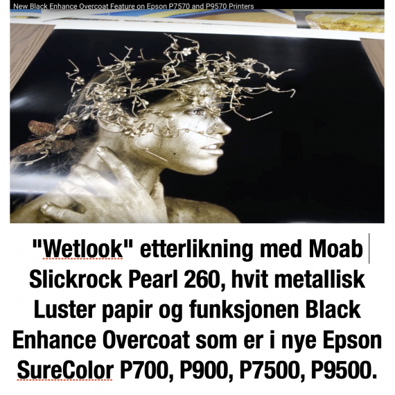 Moab Slickrock Metallic Pearl 260g 17"x30,5 rull