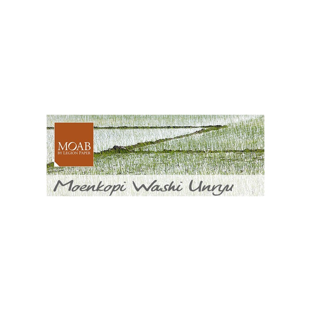 Moab Moenkopi Unrye 55